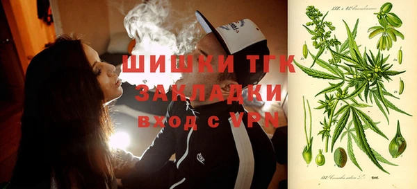 шишки Алзамай